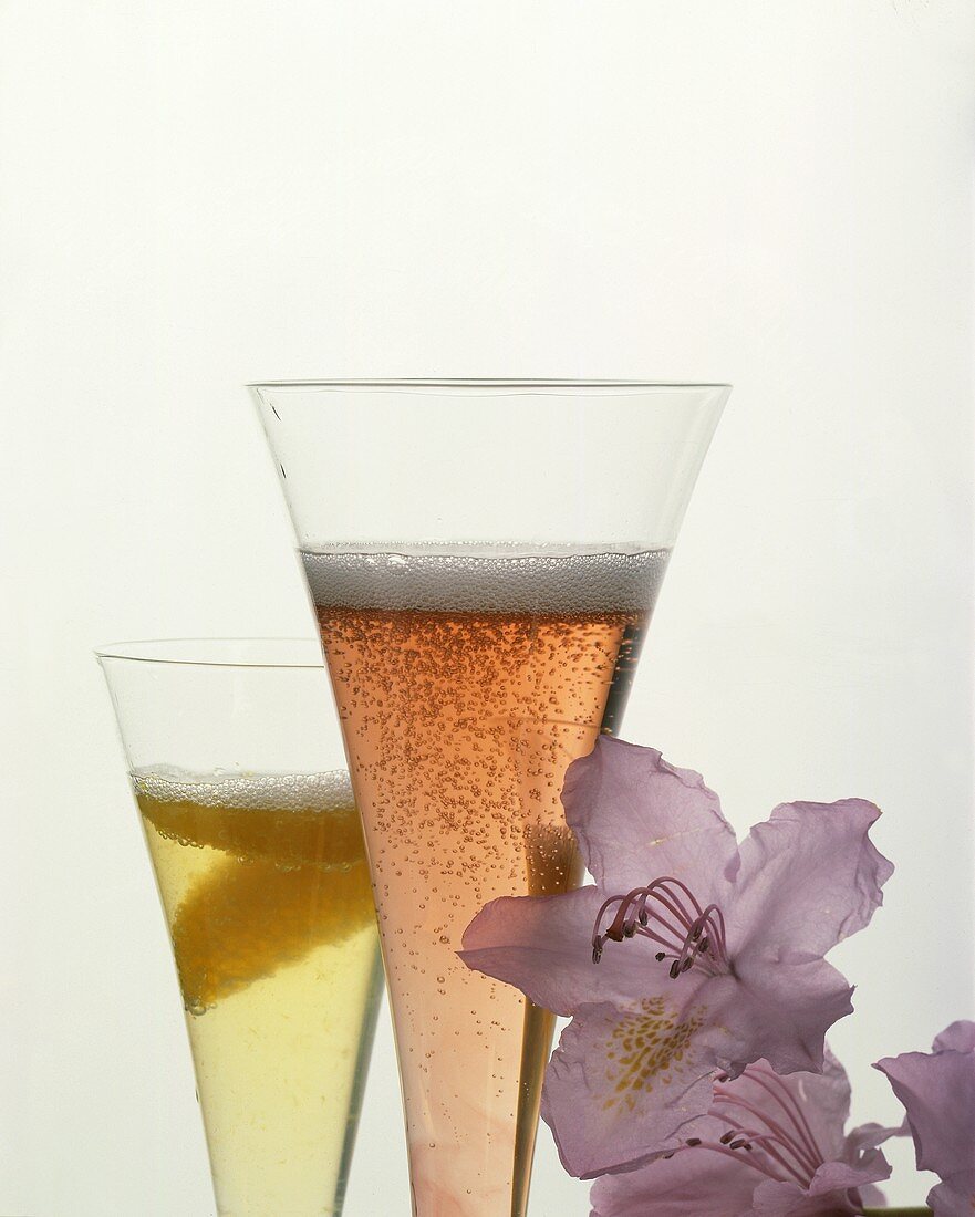 Zwei Cocktails mit perlendem Sekt; Deko: lila Blüten