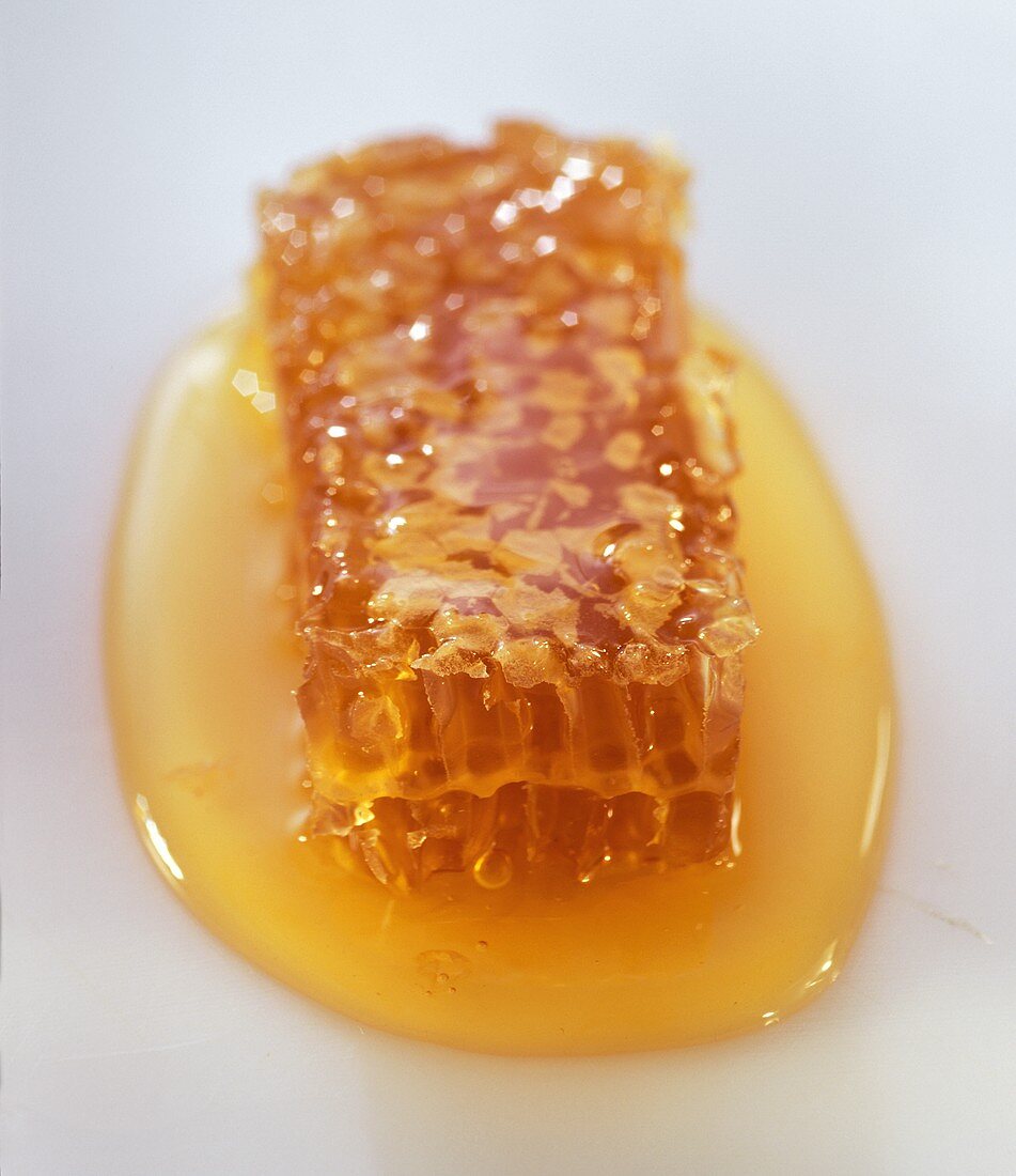 Honigwabe mit Honig auf weißem Untergrund