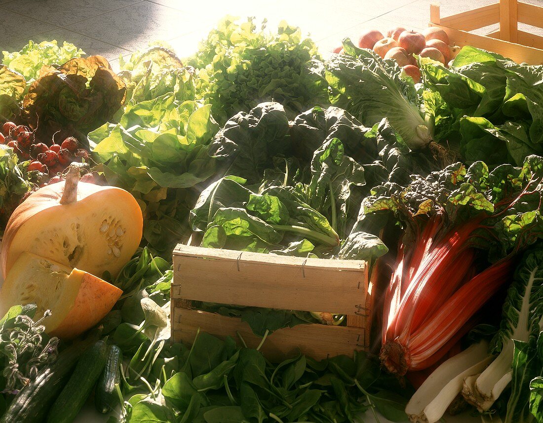 Fresh lettuces, pumpkin, spinach, chard, cucumbers, borage