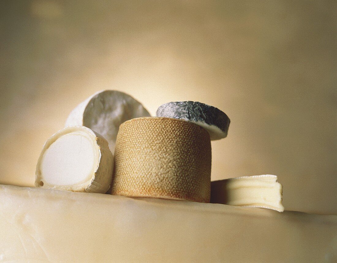 Various types of goat's cheese