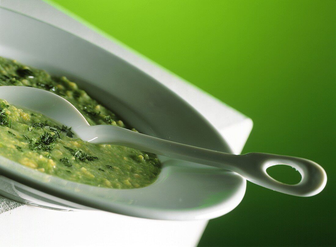 Pea soup with fresh herbs on a plate with a spoon