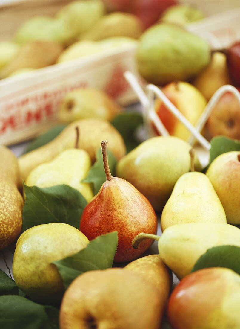Various types of pears, some in basket and crate