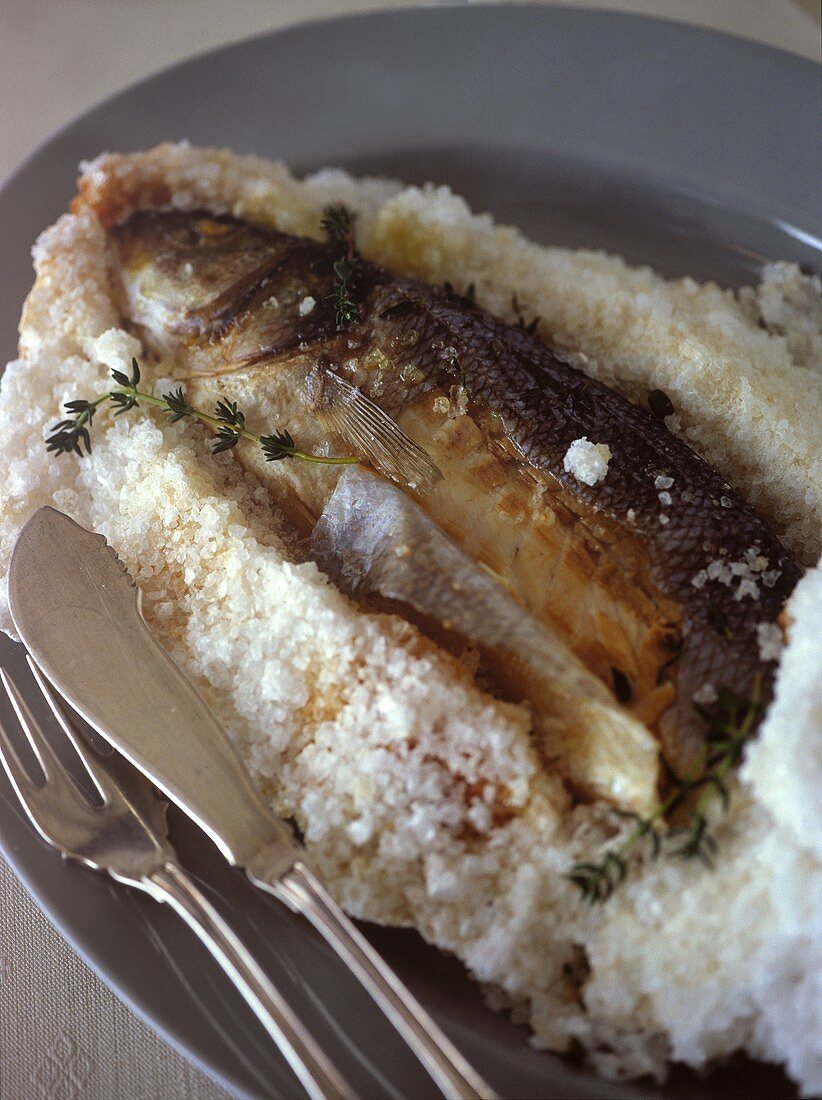 Perch in salt crust on plate