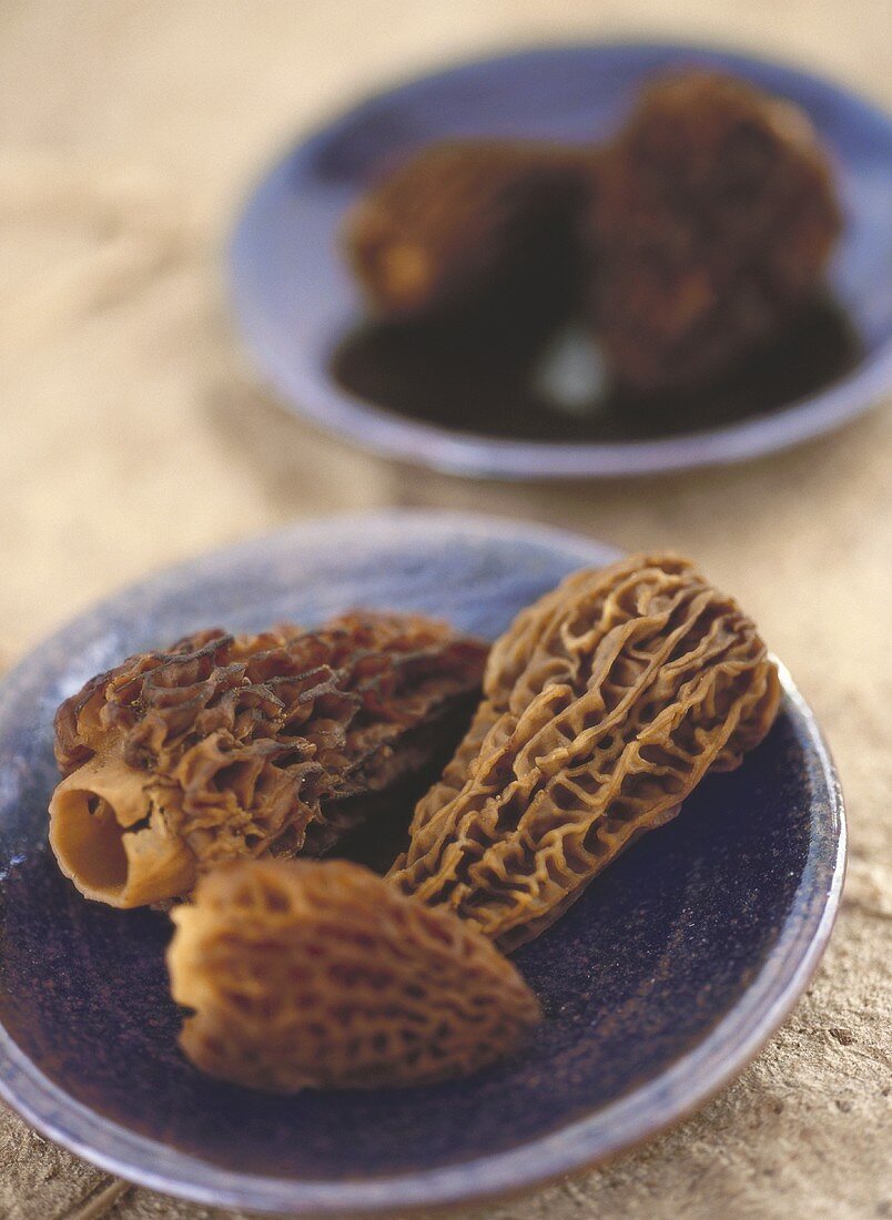 Morels on blue plates