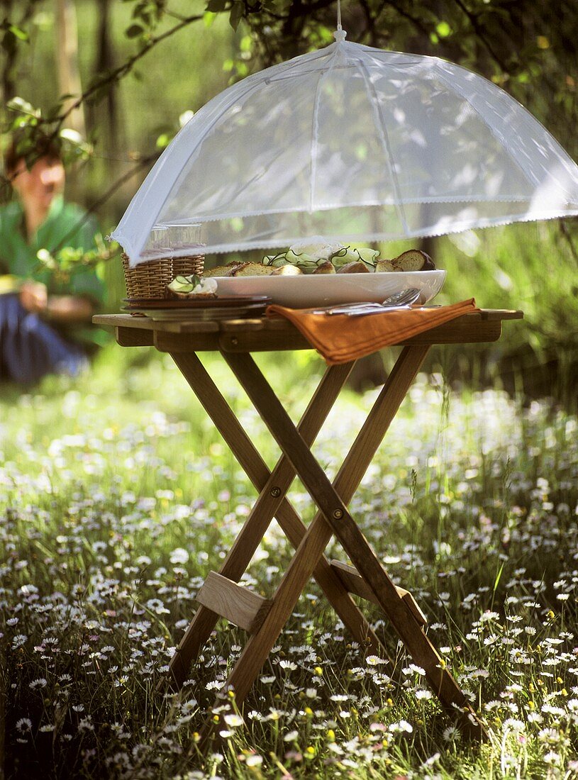 Picknicktisch mit Abdeckhaube auf einer Wiese