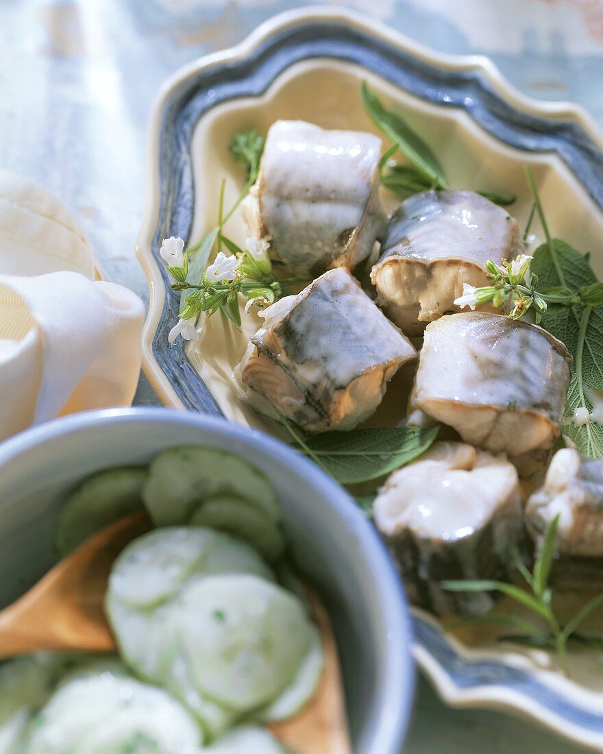 Aal grün mit Kräutern und Gurkensalat