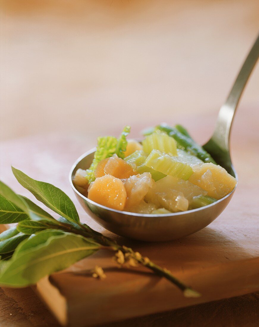 Vegetable stew with carrots and celery on ladle