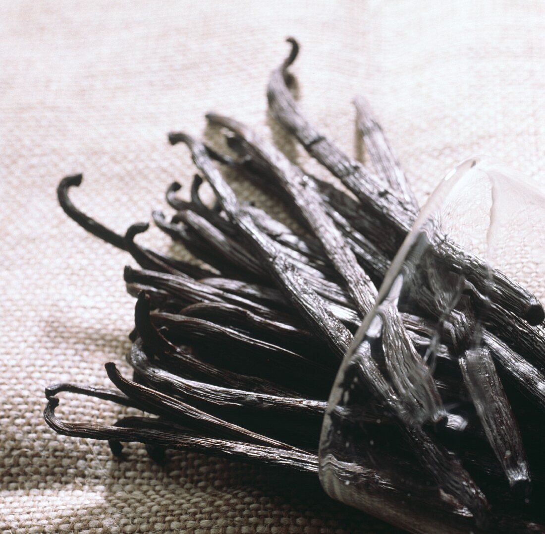 Vanilla pods in a jar