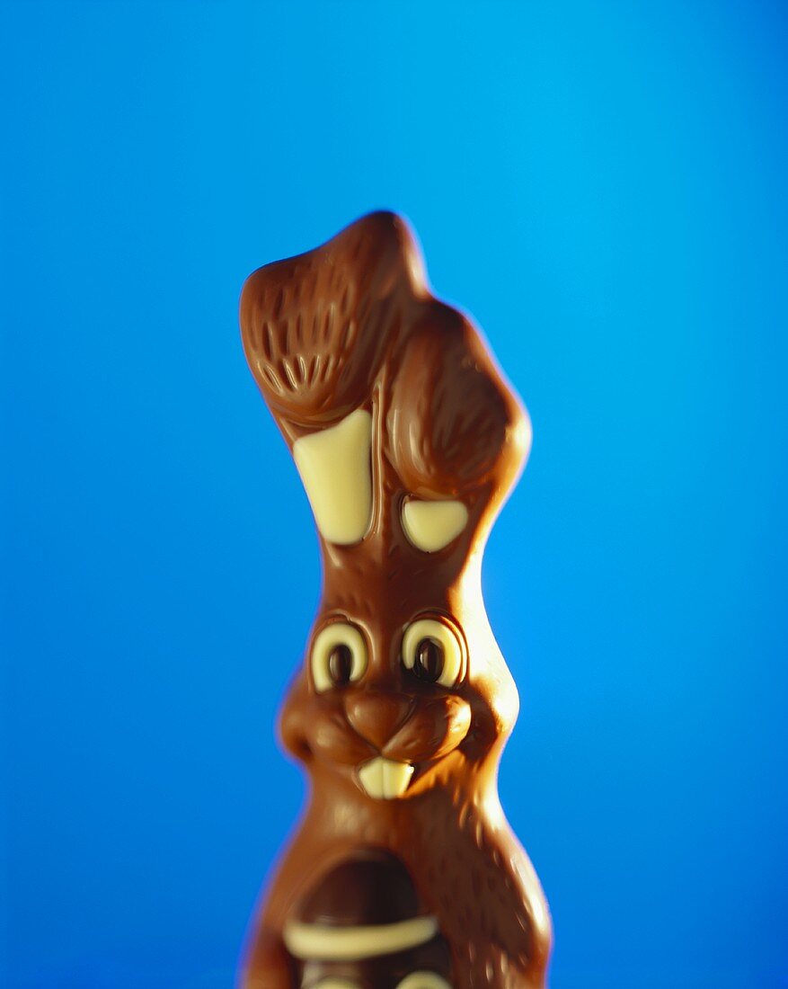 Schokoladen-Osterhase vor blauem Hintergrund