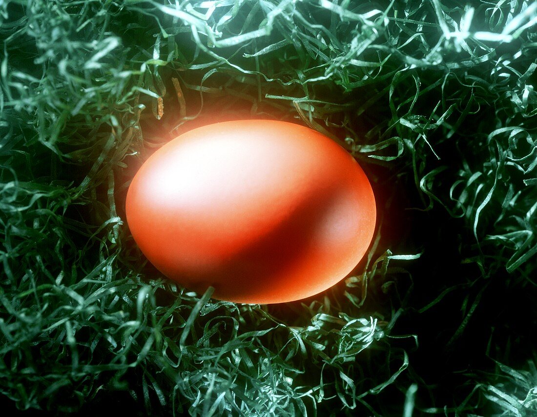 Ein rot gefärbtes Ei auf grünem Papierstroh