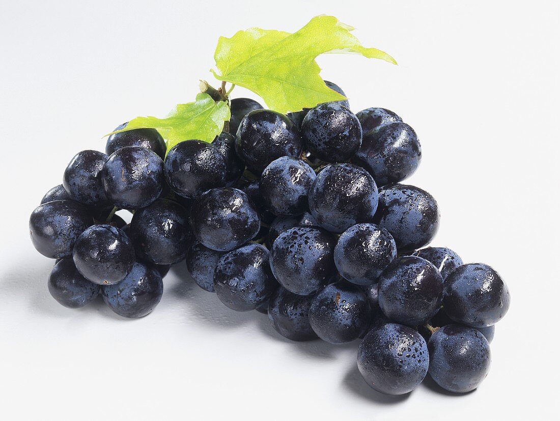Black grapes with drops of water