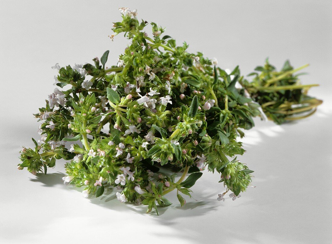 A bunch of fresh thyme with flowers