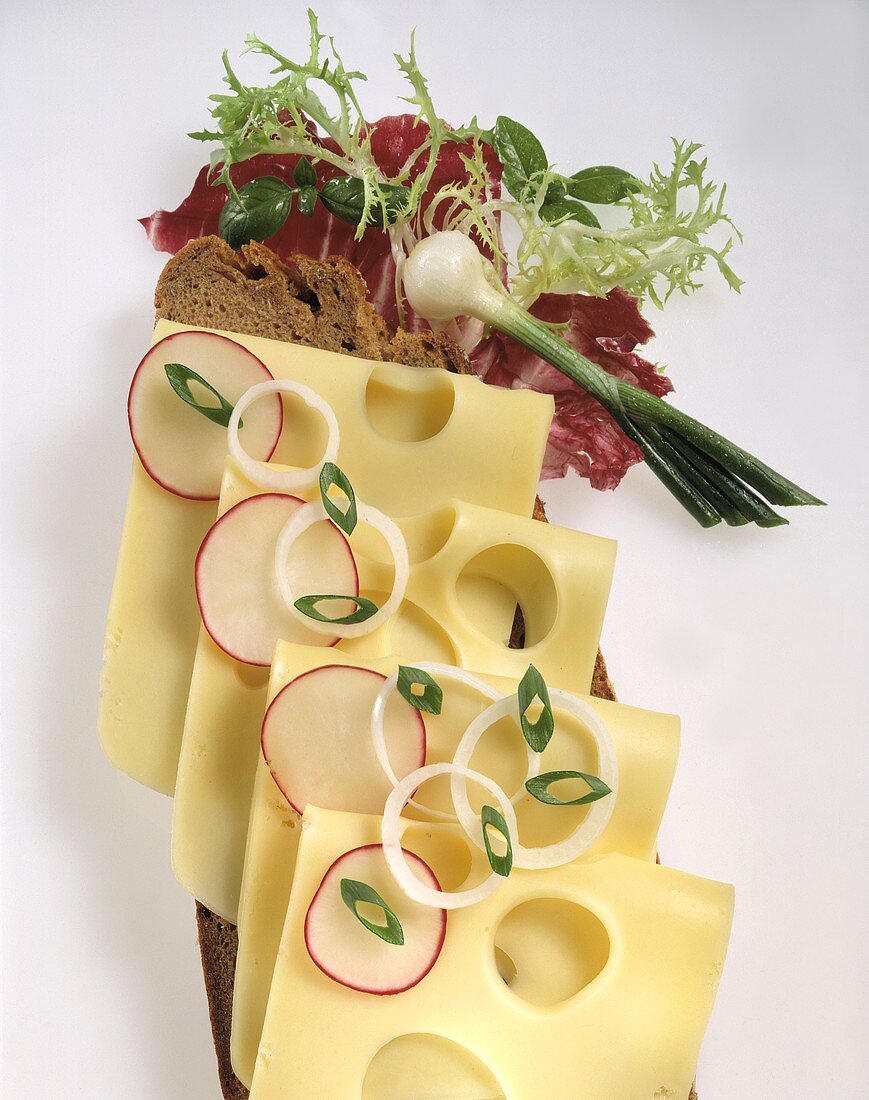 Sandwich with Emmental cheese, radishes and onions