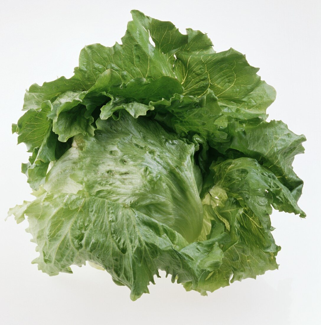 An iceberg lettuce