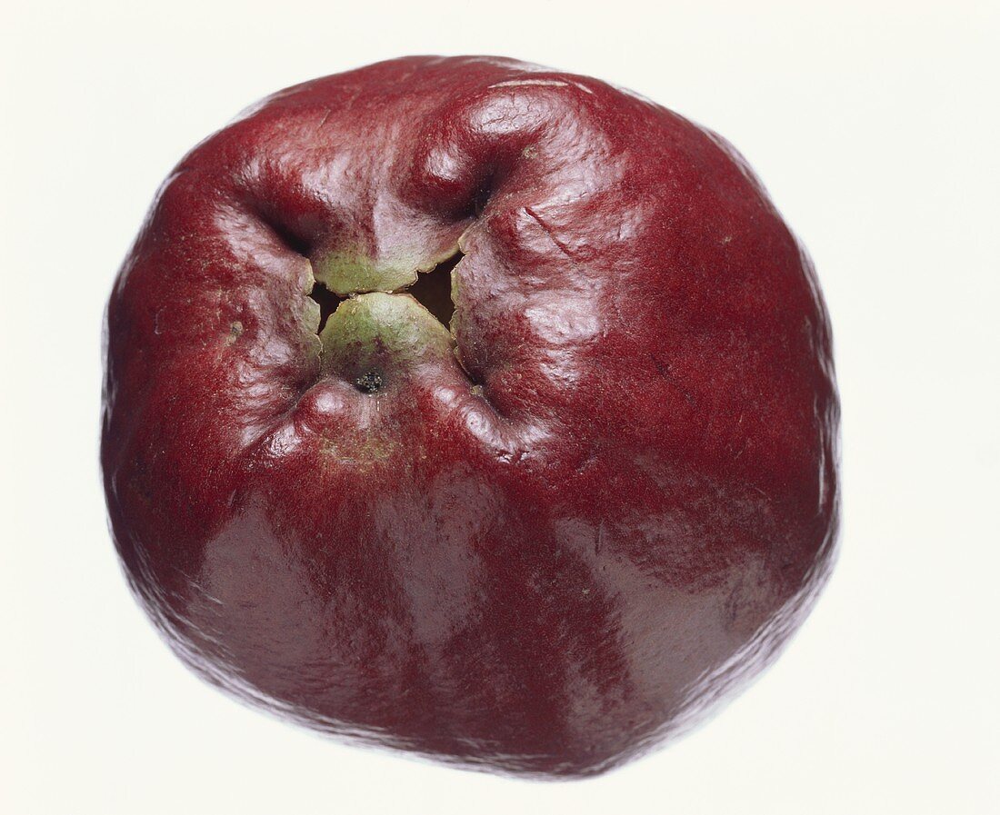 Java-Apfel