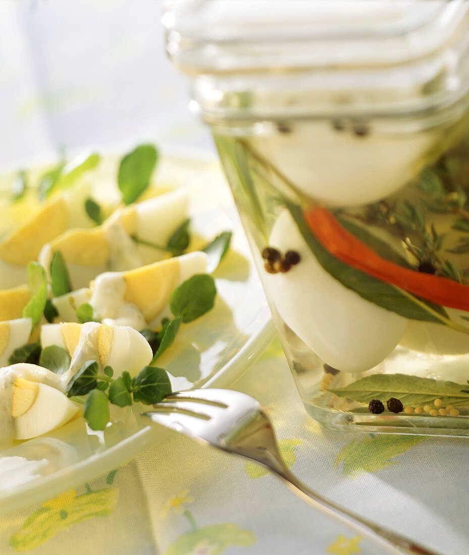 Kräuter-Soleier im Glas und Eiersalat mit Brunnenkresse