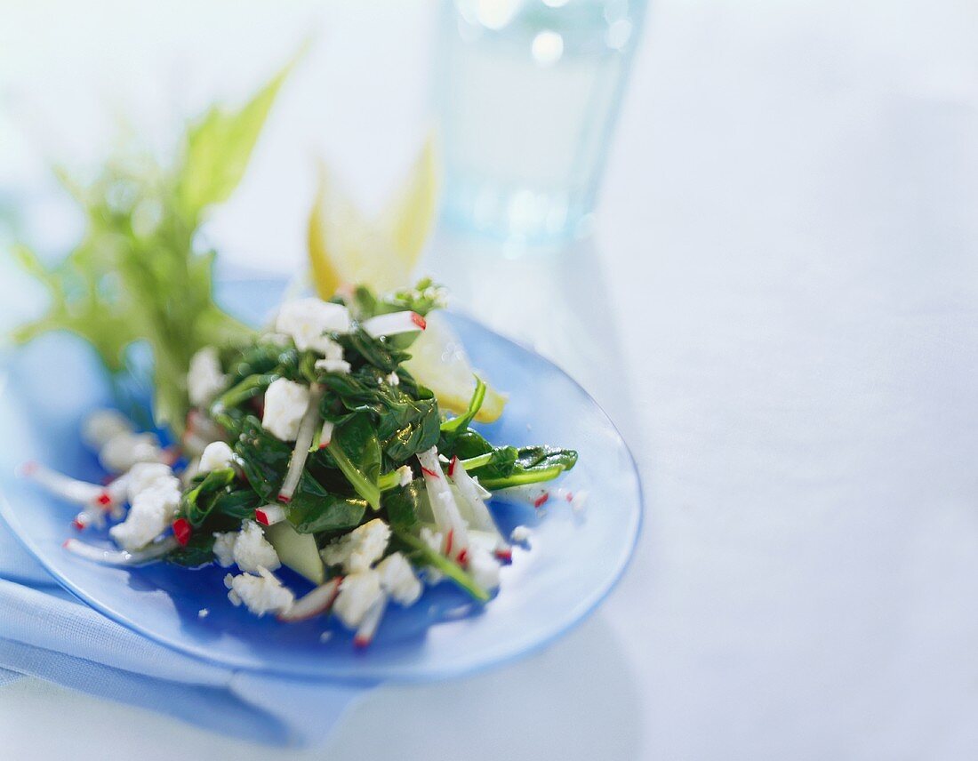 Spinach and herb salad with sheep's cheese and radishes