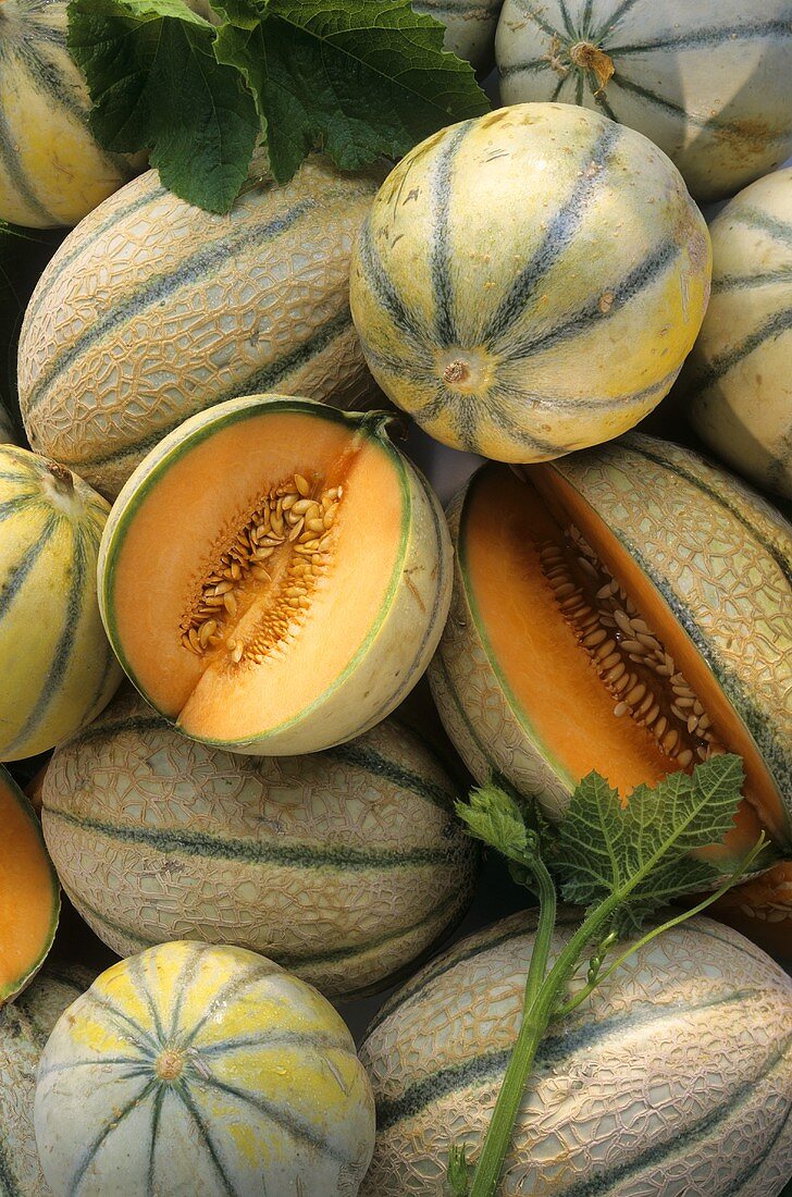 Charentais melons, two cut into