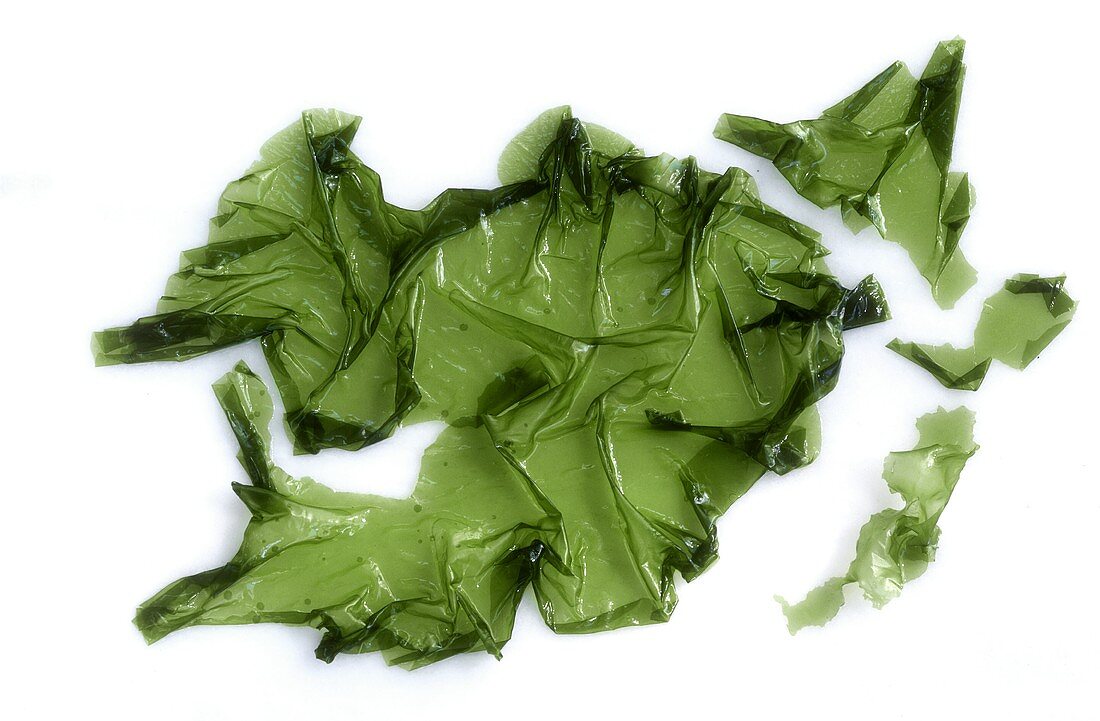 Green seaweed (Sea lettuce, Ulva lactuca)