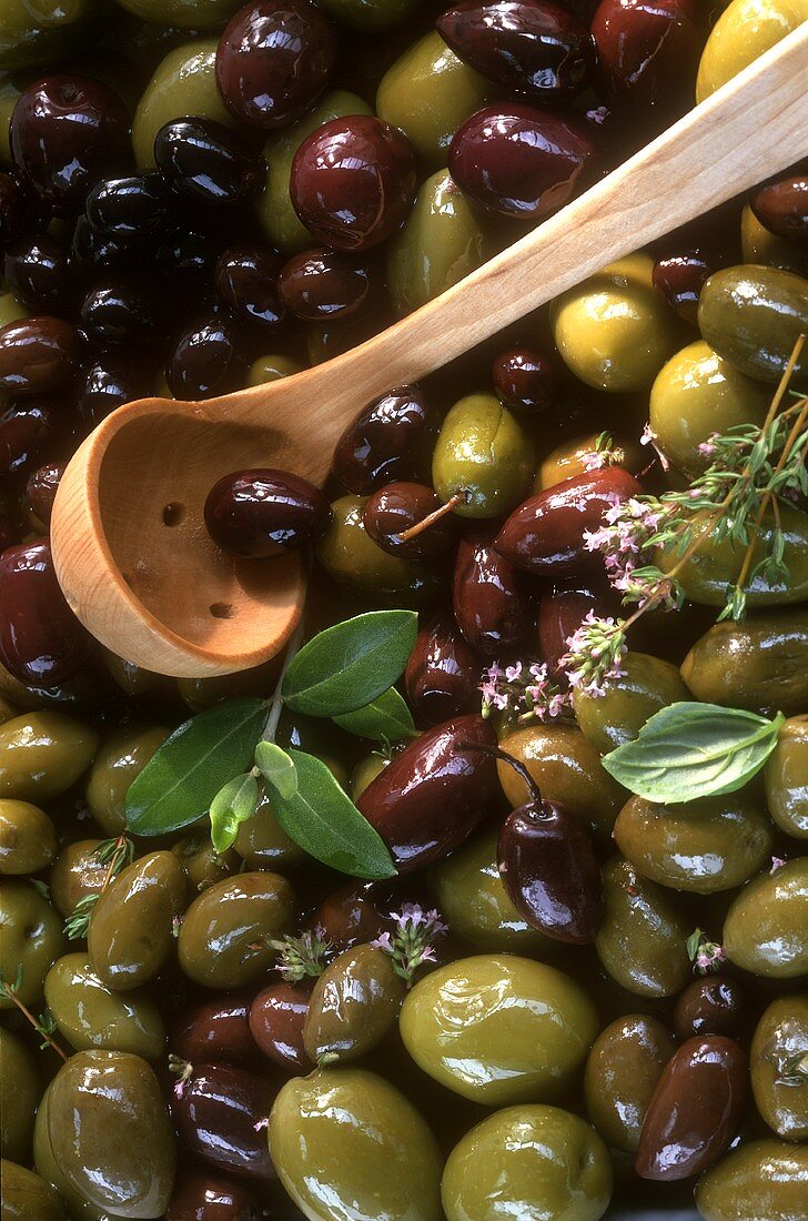 Grüne und schwarze Oliven mit Olivenkelle (bildfüllend)