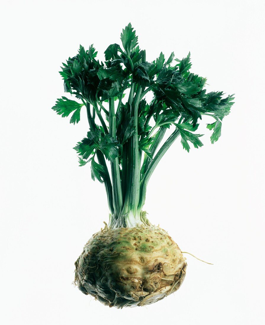 A celeriac bulb