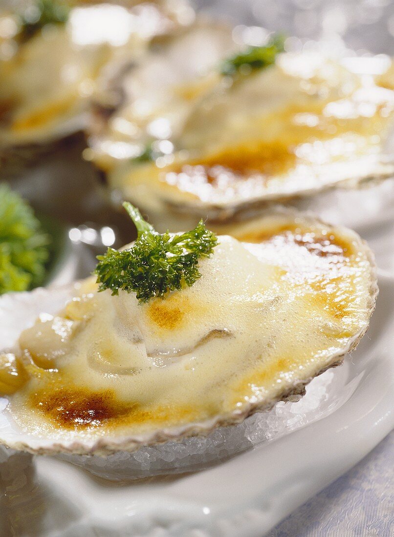 Oyster gratin with champagne sauce