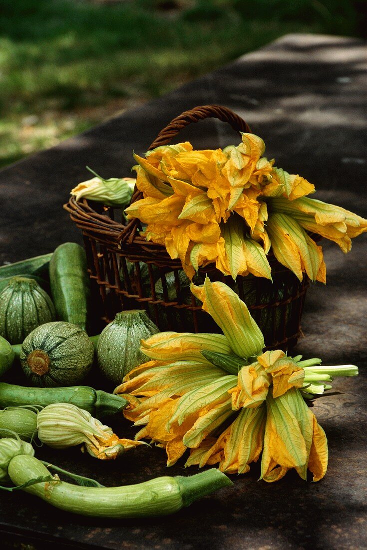 Courgettes and courgette flowers, some in a basket