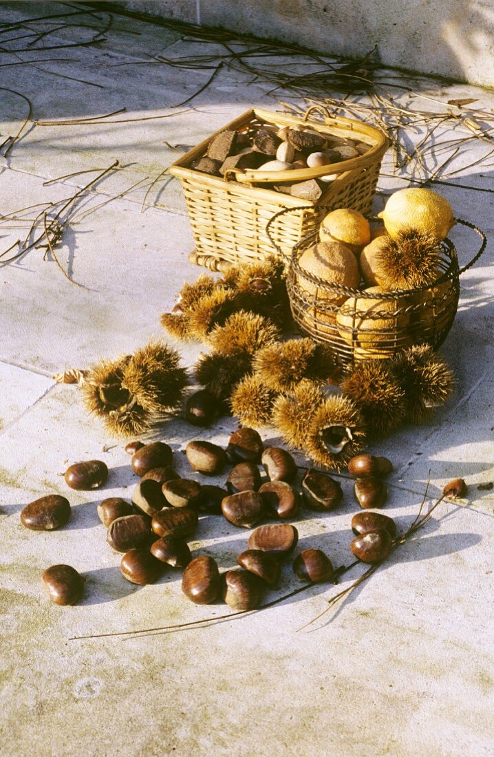 Sweet chestnuts in front of two baskets in the open air