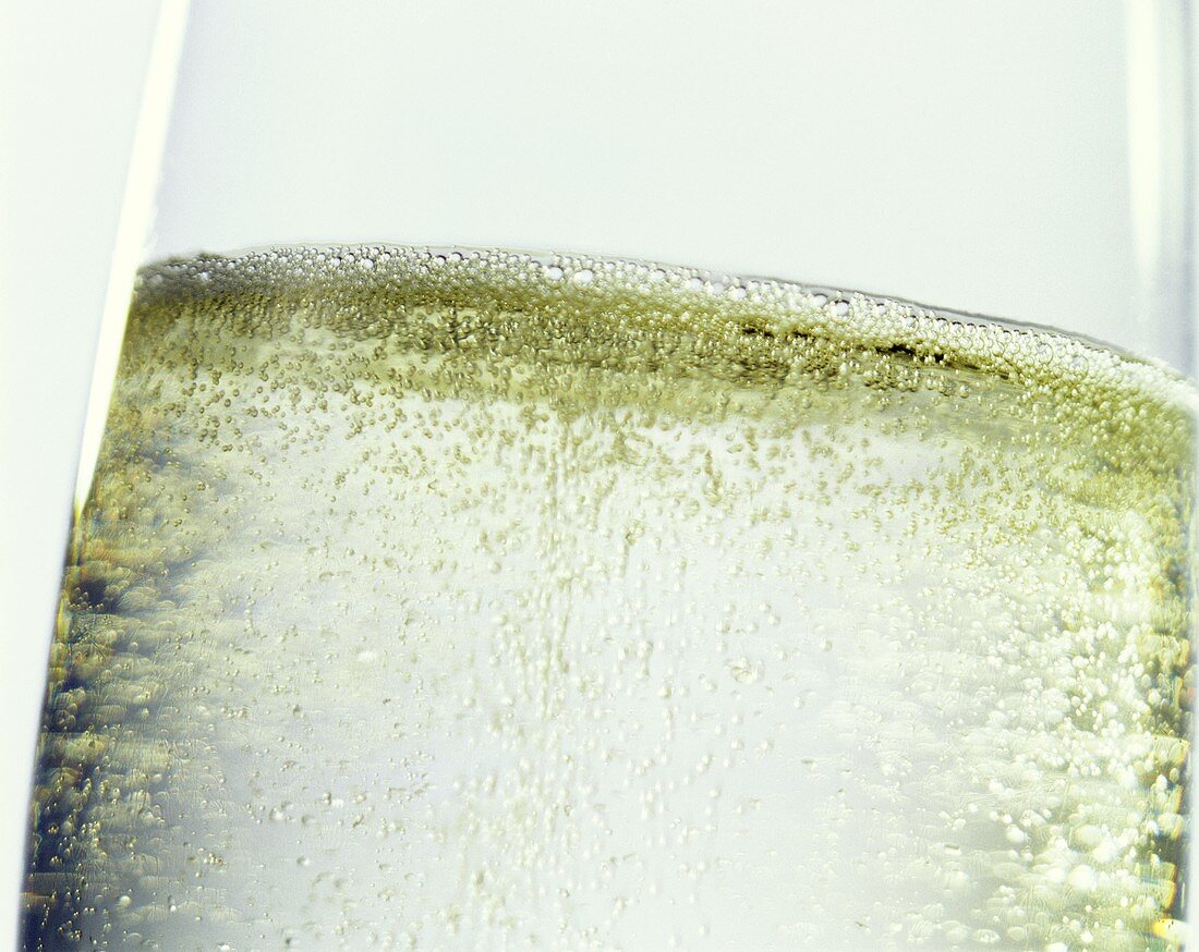 Sparkling champagne in a glass