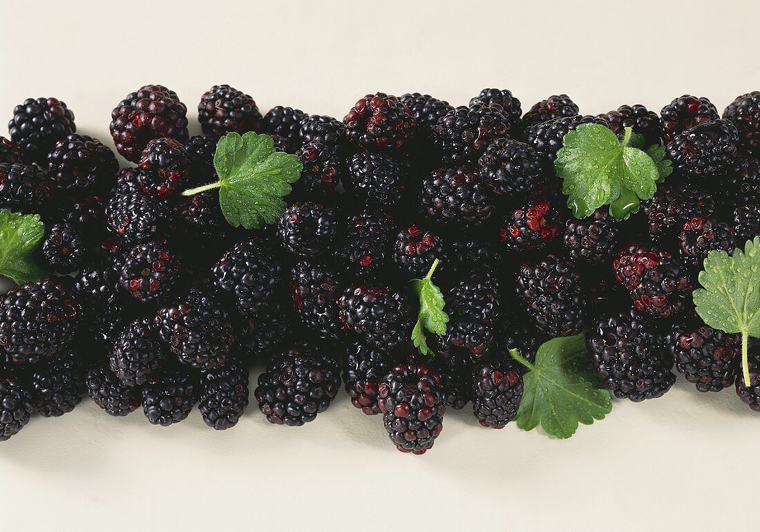 Fresh blackberries with drops of water