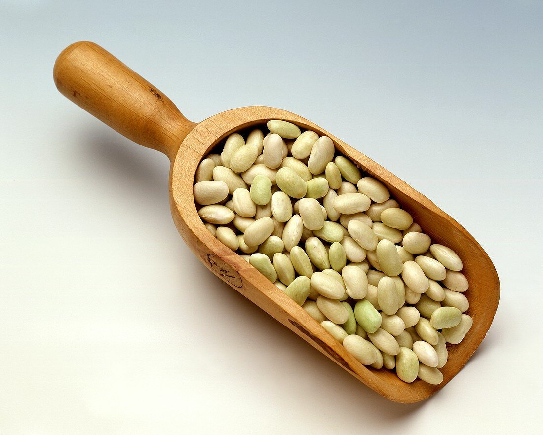 White beans on a wooden scoop