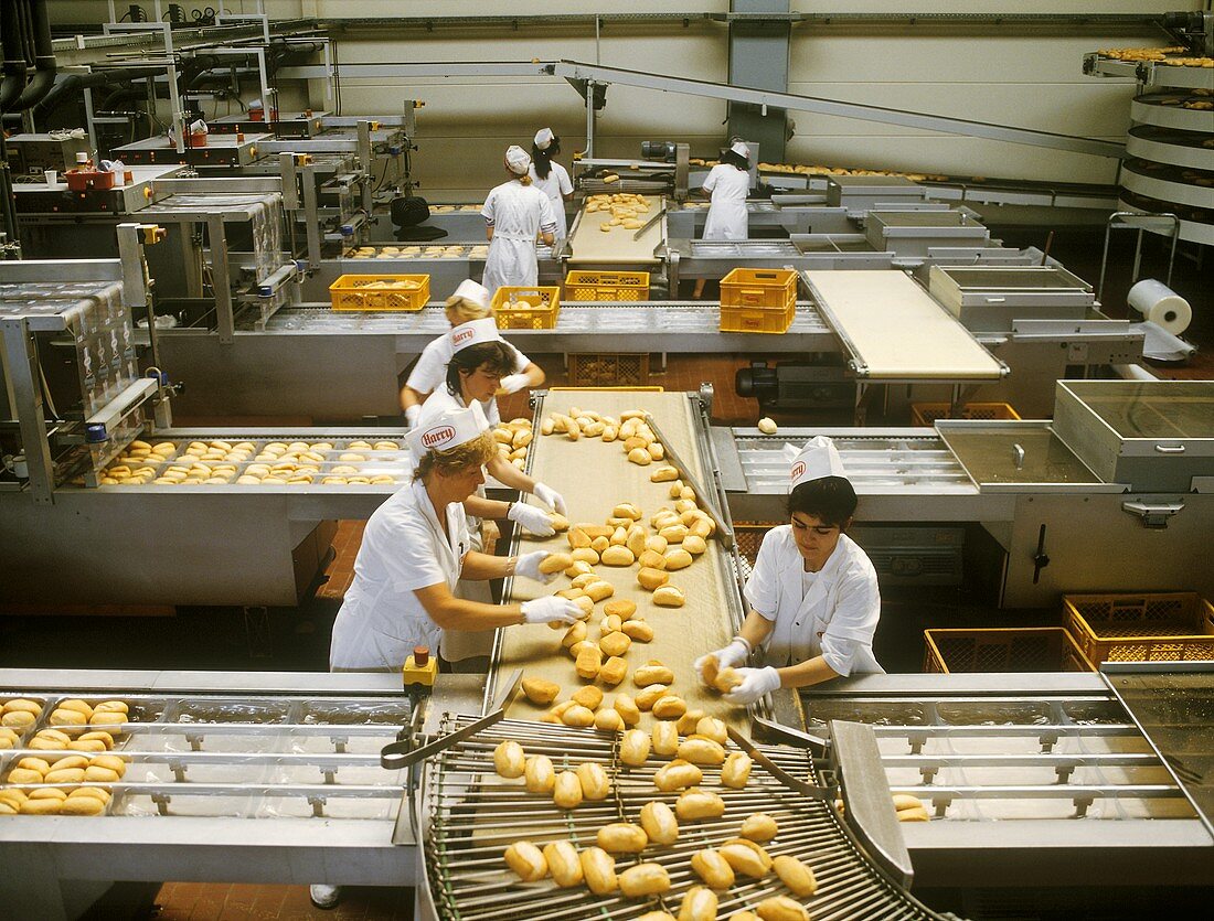 Baguette-Brötchen auf der Abpackstrasse in einer Brotfabrik