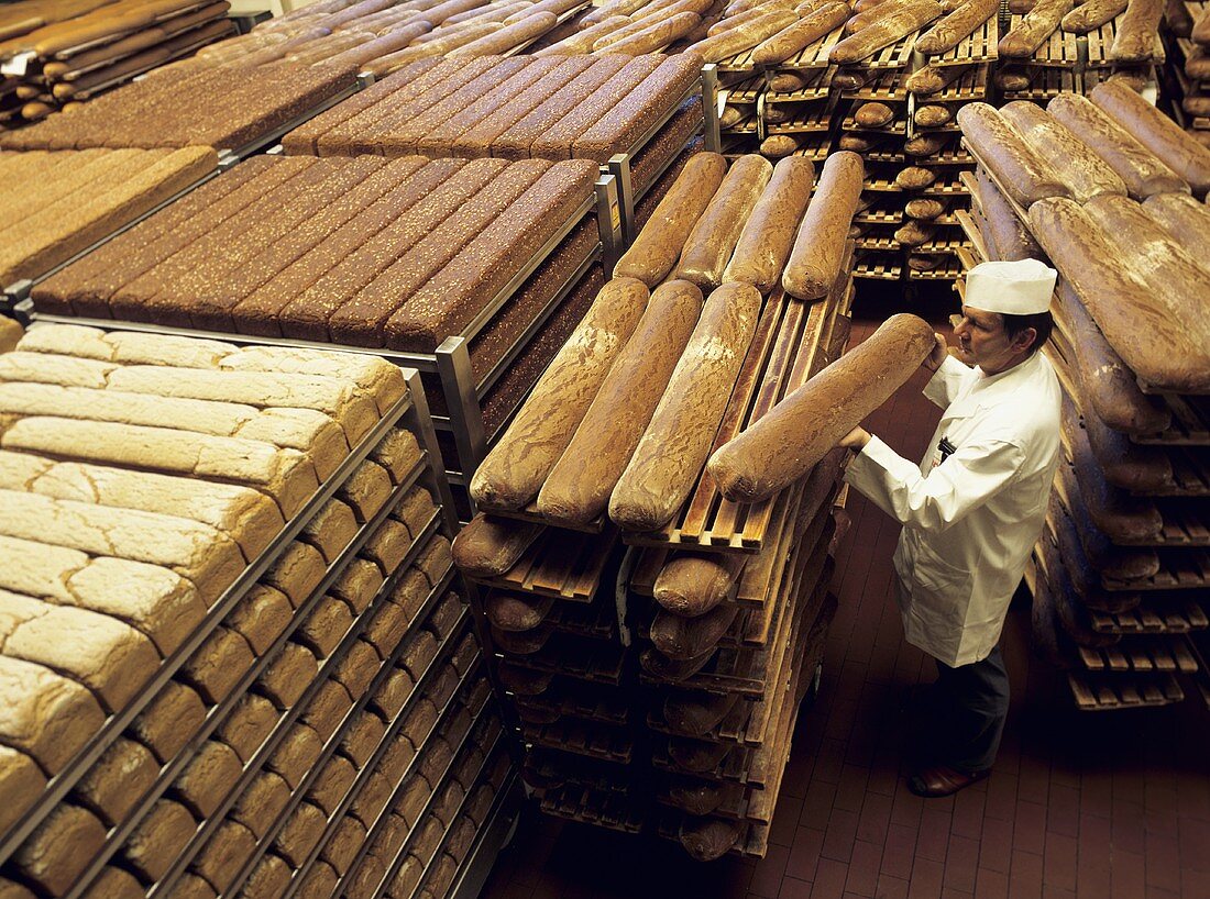 Bäckermeister bei visueller Brotkontrolle in Brotfabrik