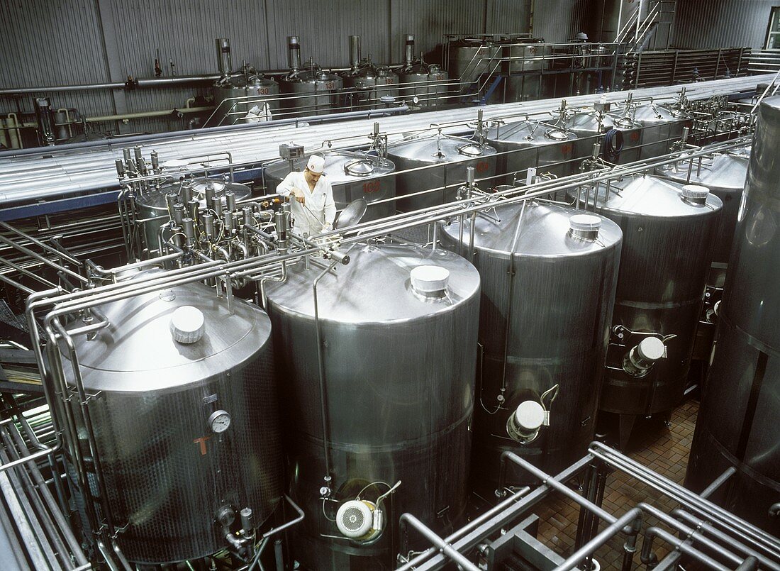 Joghurtfabrik mit Bebrütungstanks (Techniker entnimmt Probe)