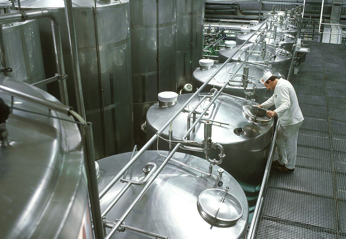 Techniker an Bebrütungstanks in einer Joghurtfabrik