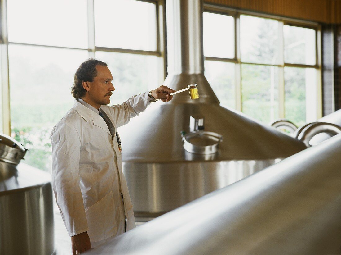 Brewer assessing a beer sample in brewing room