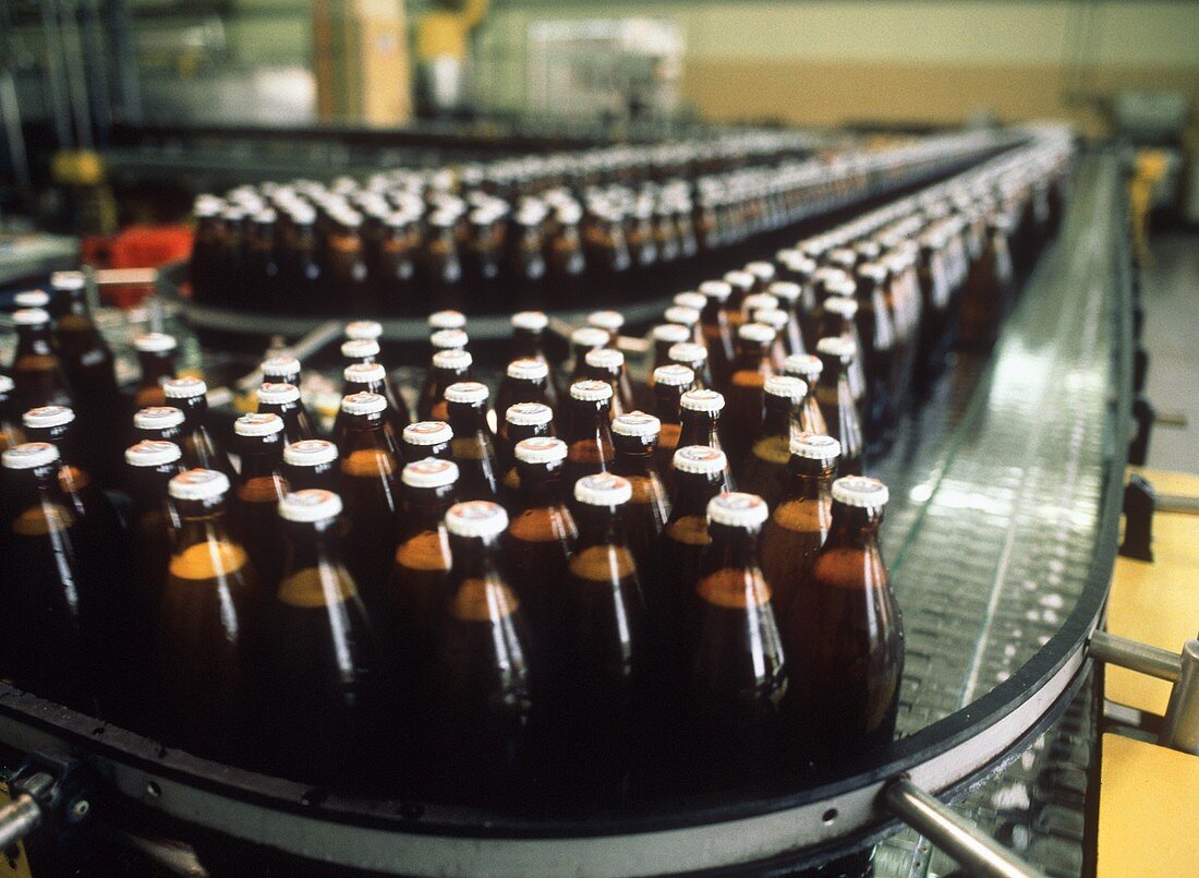 Bierflaschen auf Anlage zum Abfüllen und Etikettieren