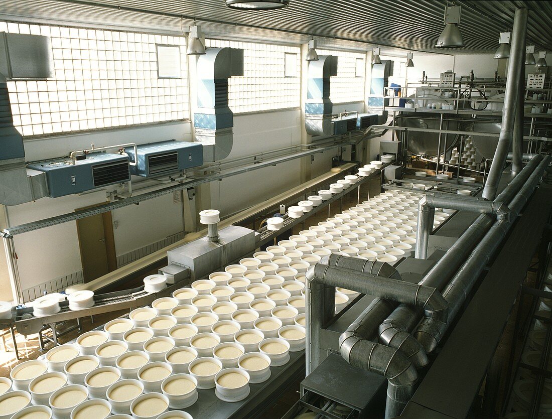 Production area at a large cheese dairy