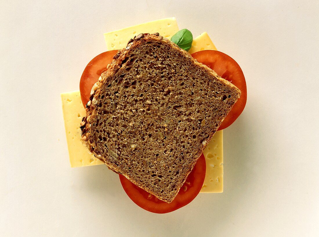 Cheese and tomato sandwich