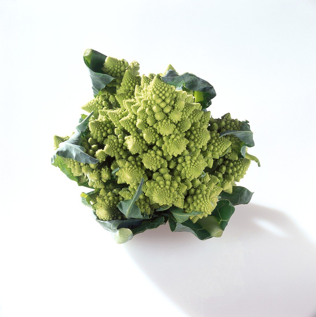 Romanesco