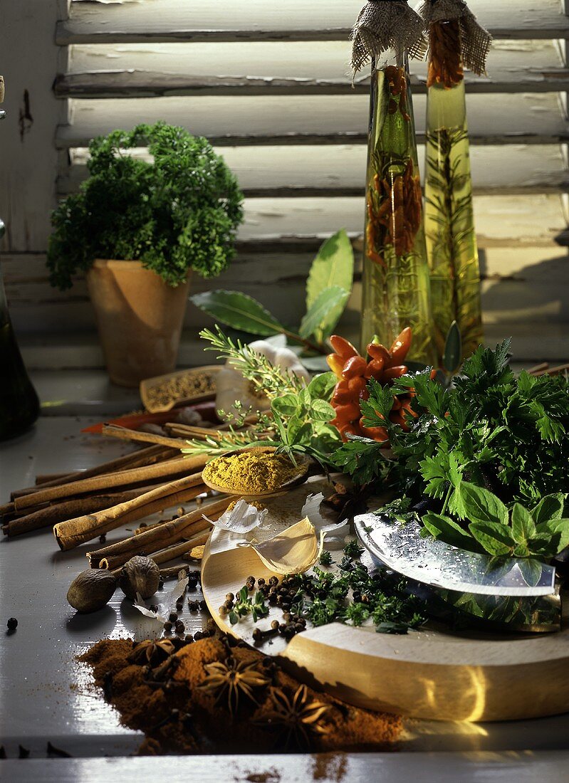 Still life with fresh herbs, spices and oil