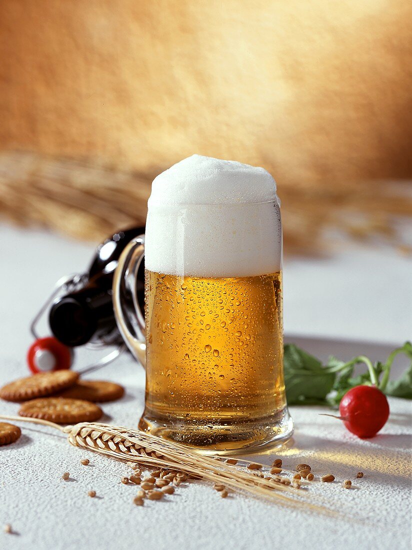 Light beer in a glass tankard; Radish; Cracker; Ear of corn
