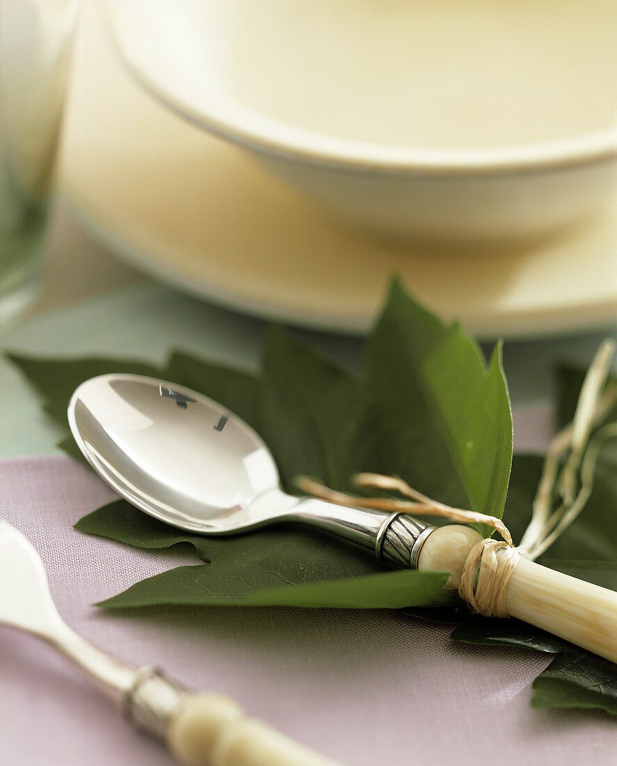 Spoon, arranged on green leaves with bast string
