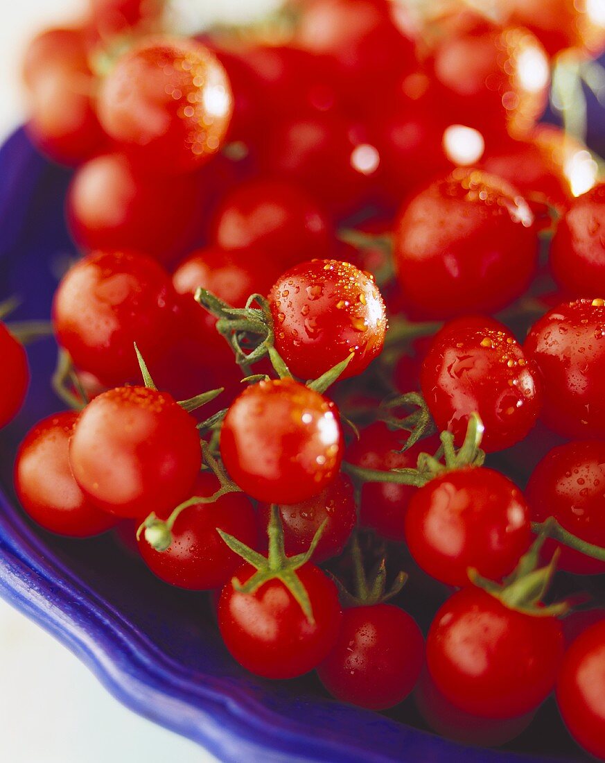 Kirschtomaten mit Wassertropfen auf blauem Teller