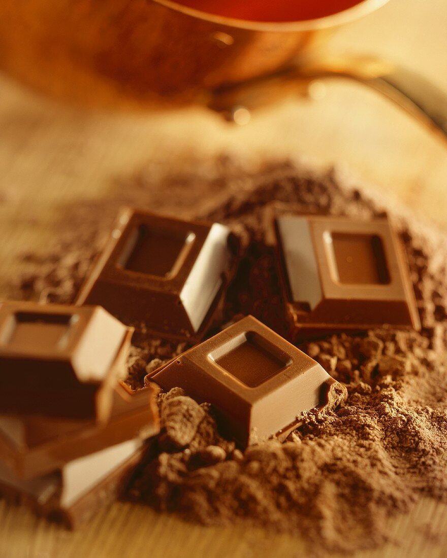 Pieces of chocolate on cocoa powder