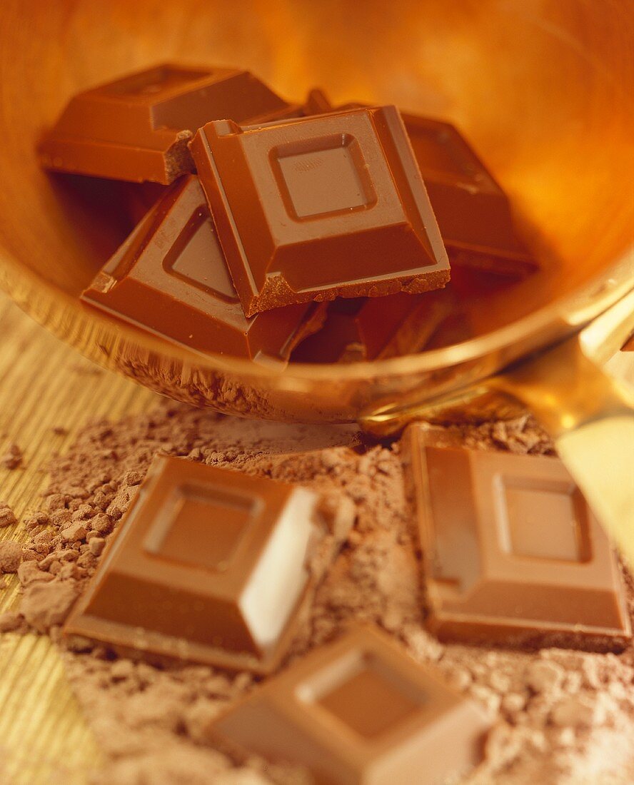 Schokoladenstücke auf Kakaopulver und in Messingschale