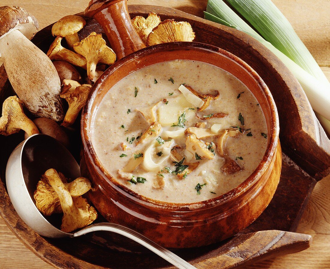 Mushroom soup with leeks in brown ceramic pot