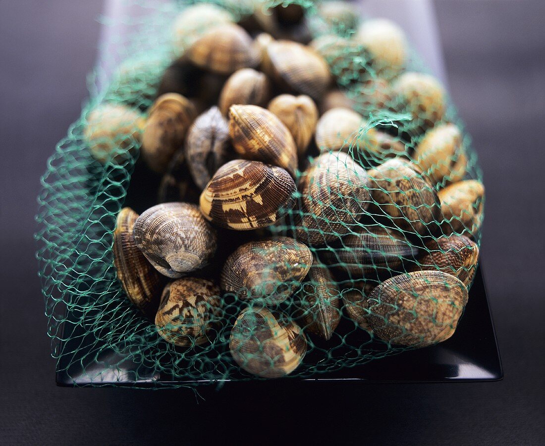 Clams in a net