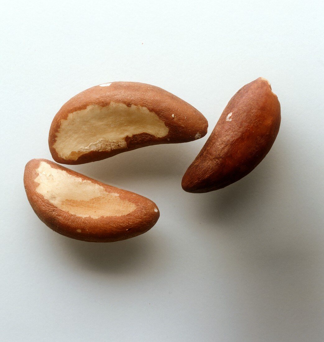 Three shelled Brazil nuts 