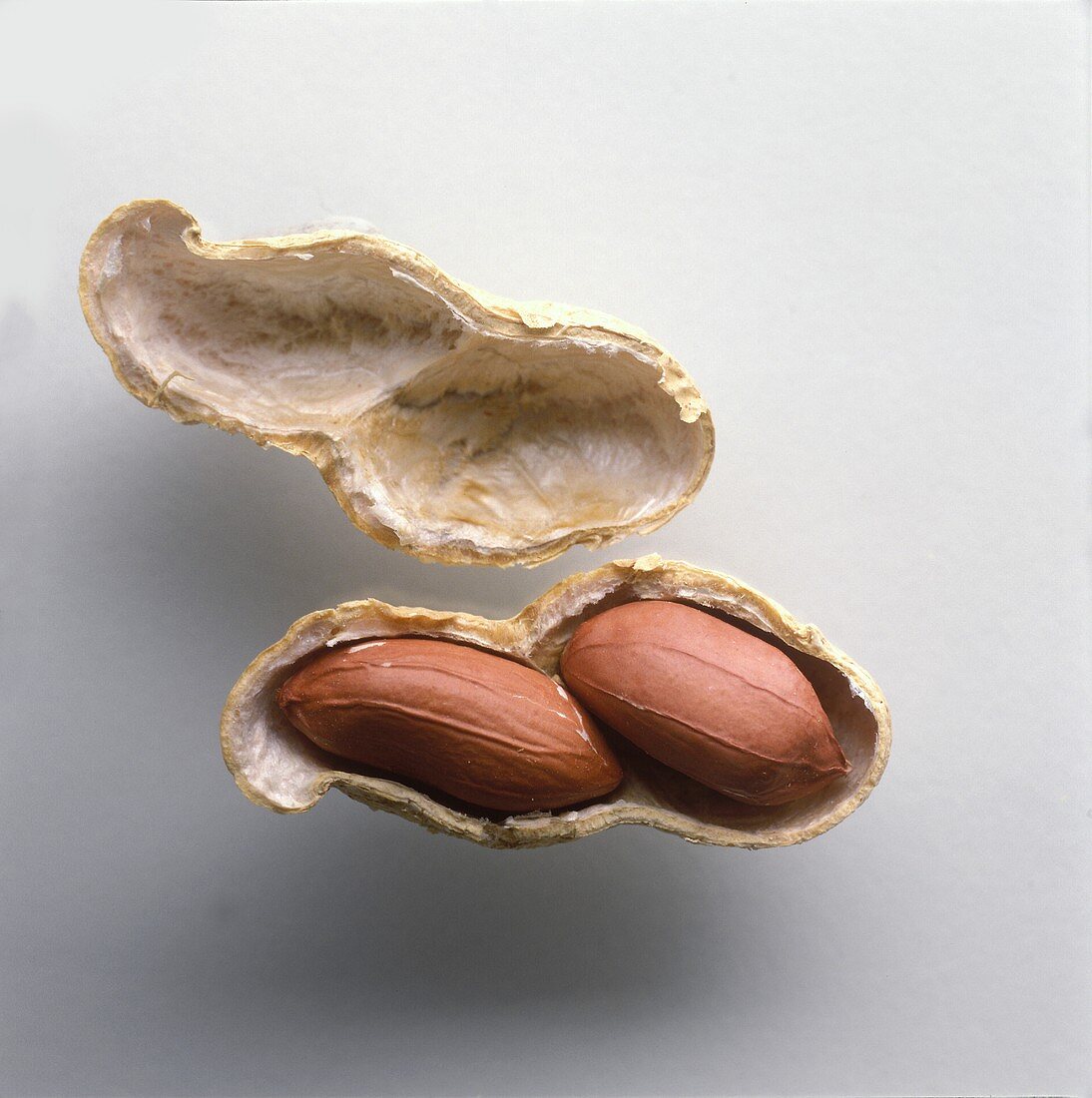 Peanut in shell 